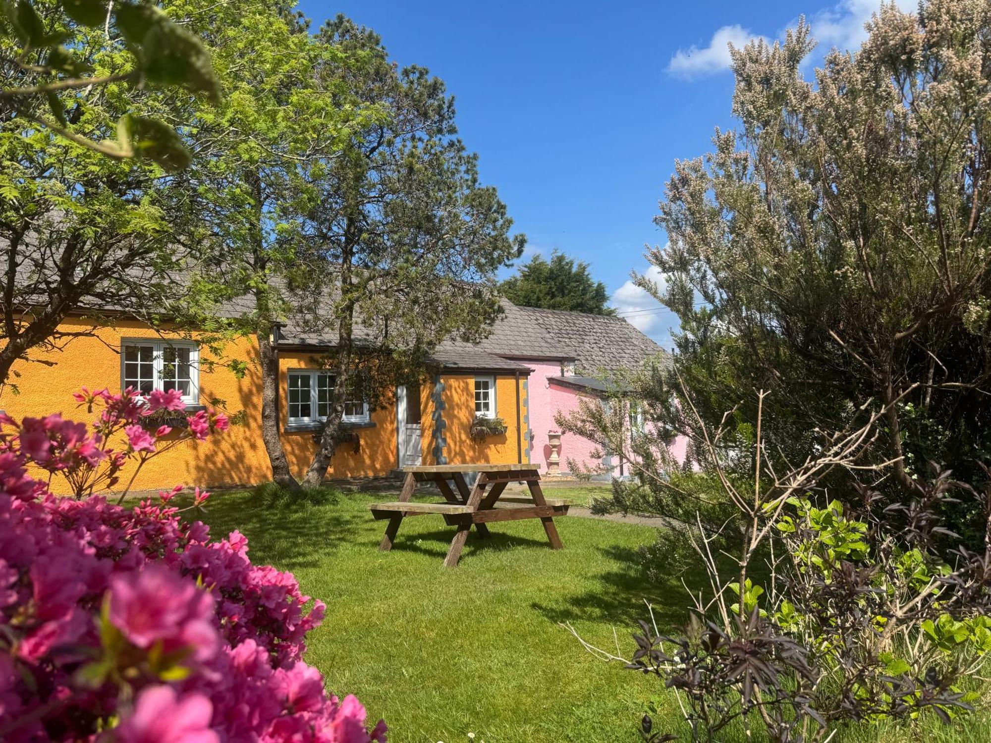 Trenewydd Farm Holiday Cottages Cardigan Ngoại thất bức ảnh